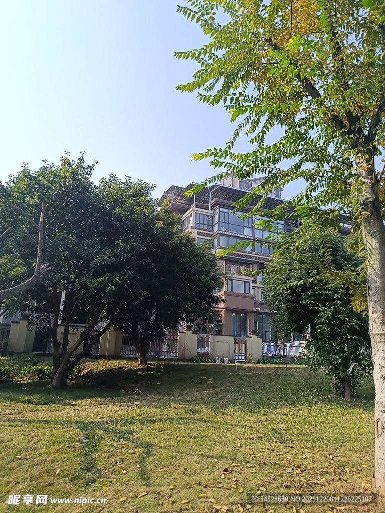 秋日校园草地与建筑景观