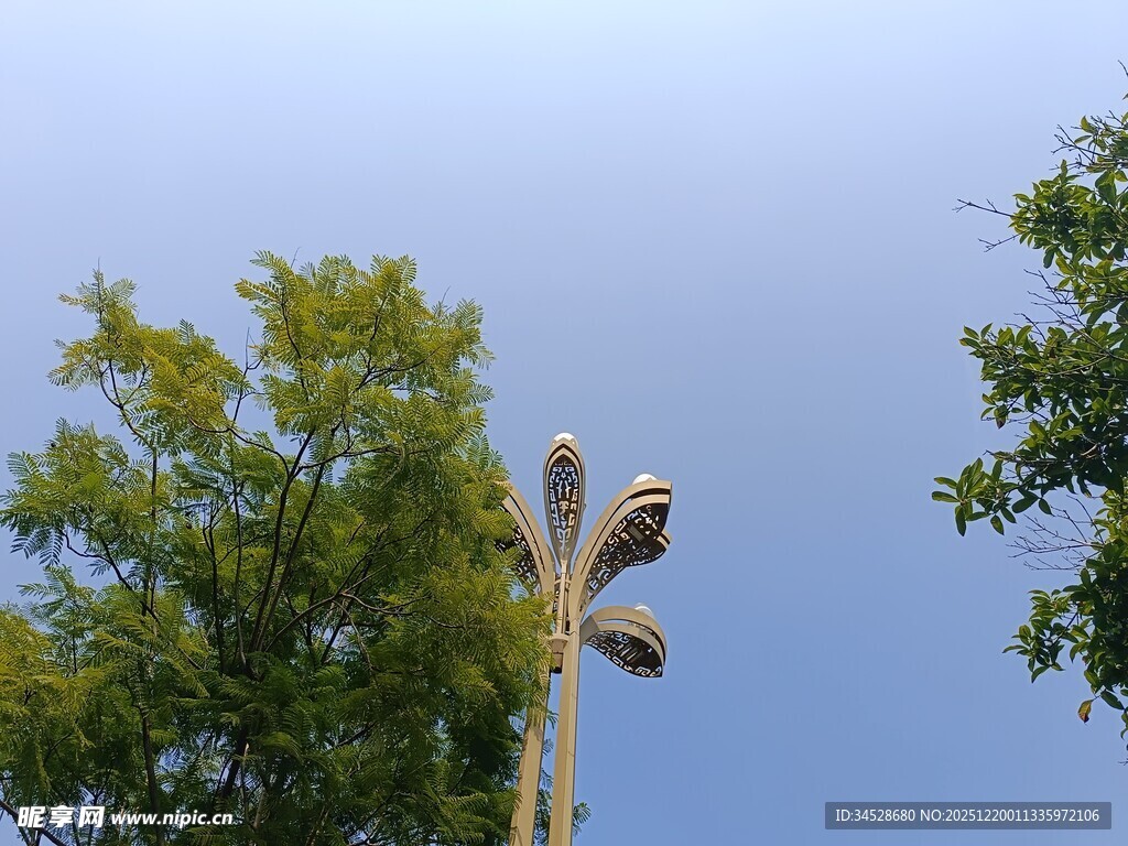 户外树木间的照明灯具