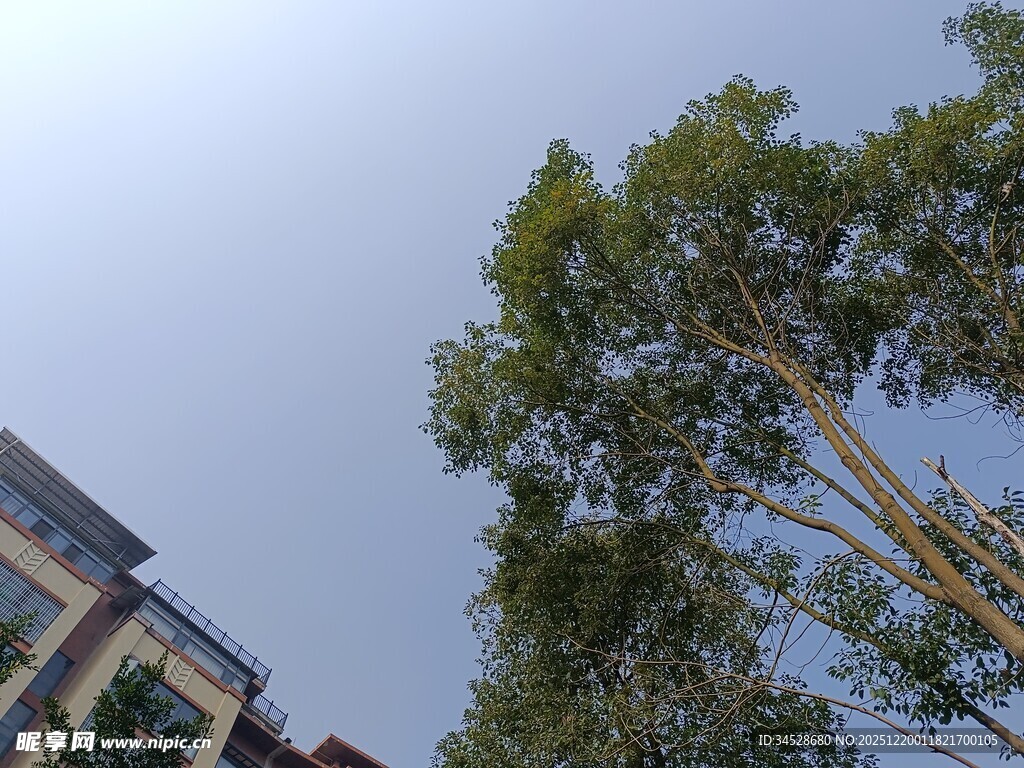 蓝天绿树旁的建筑景观