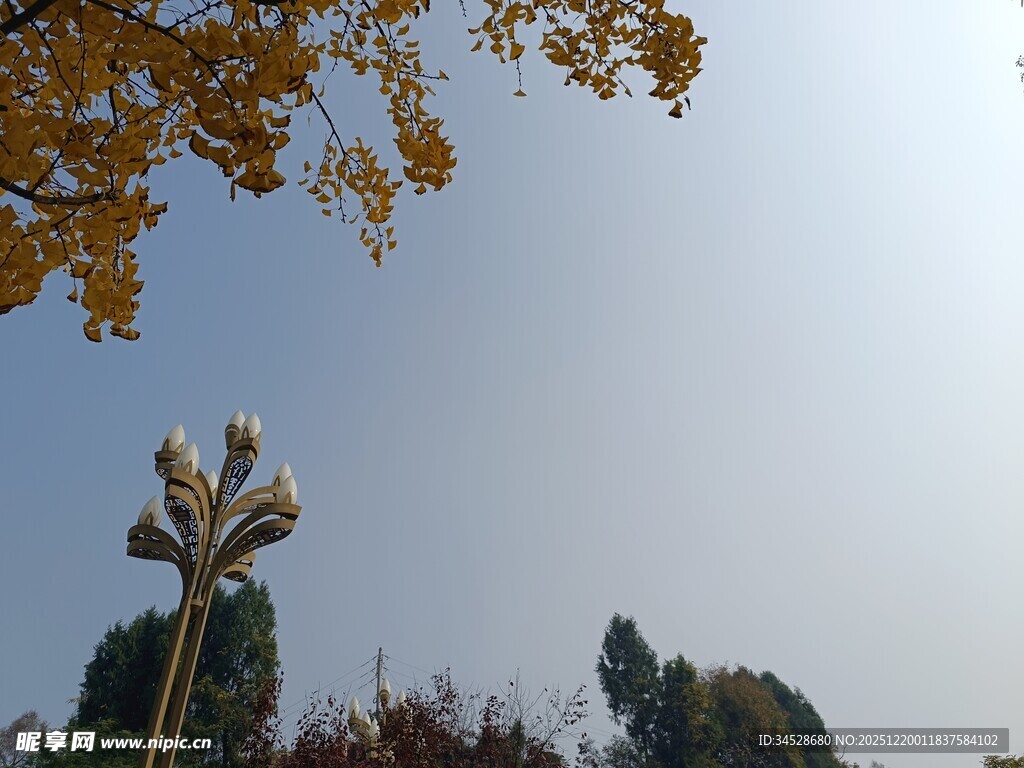 秋日树梢下的雕塑景观