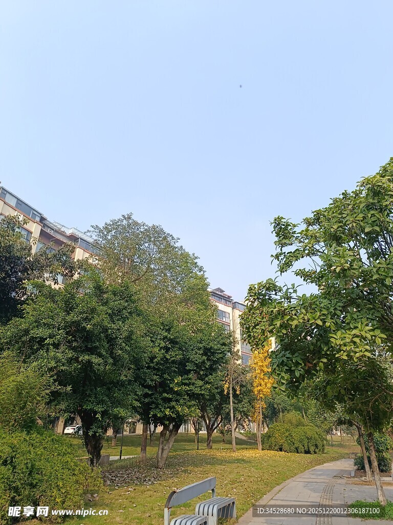 秋日公园林荫小道美景