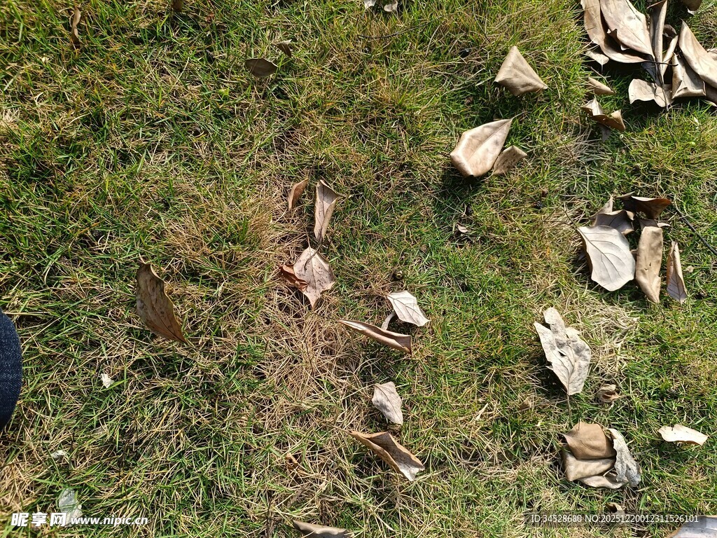 地面散落的破碎陶瓷片