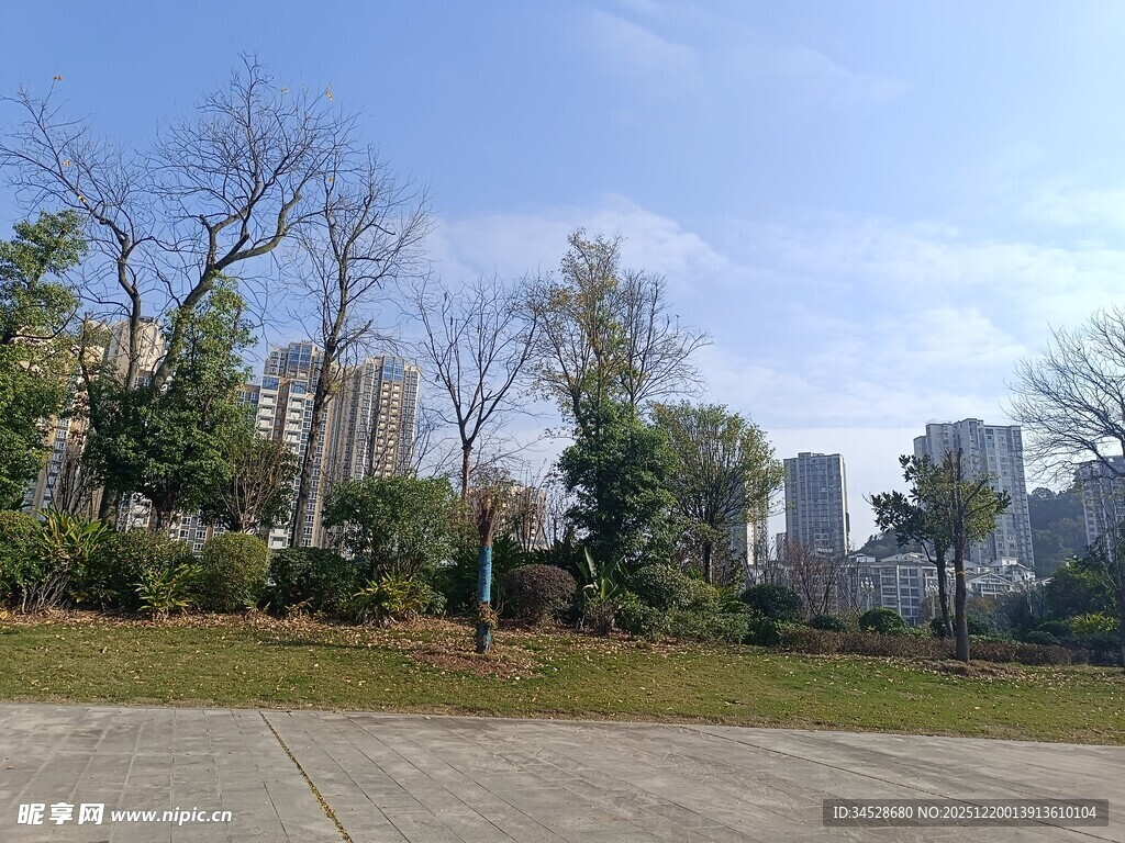 城市公园中的开阔景致