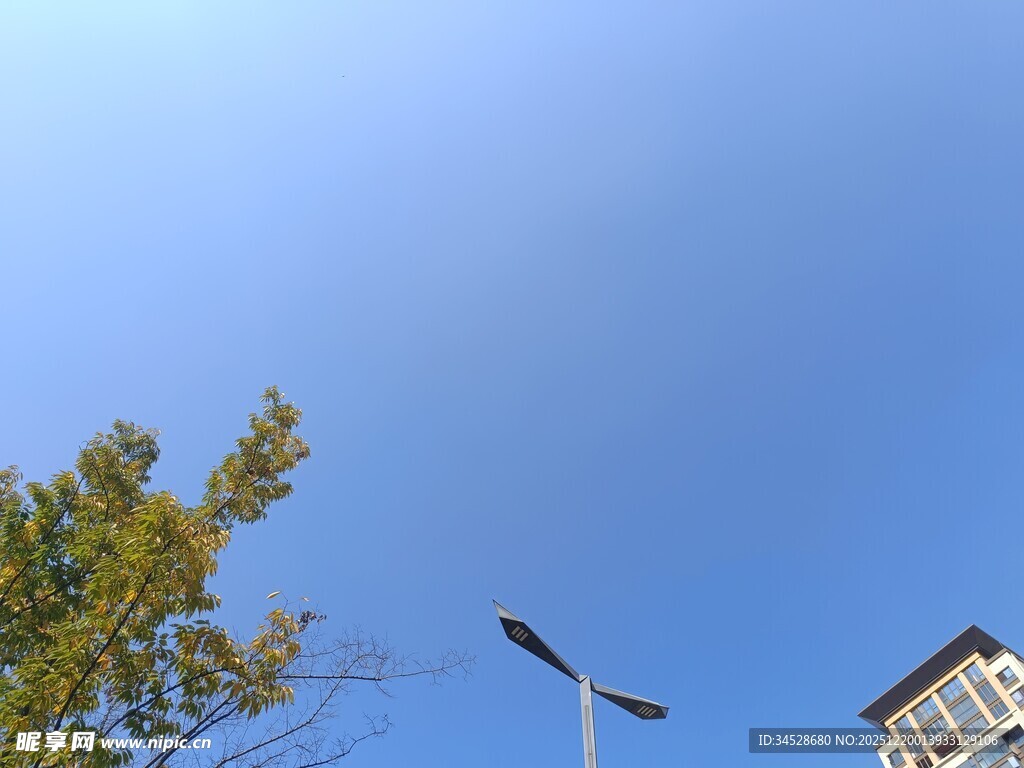 蓝天绿树旁的路灯
