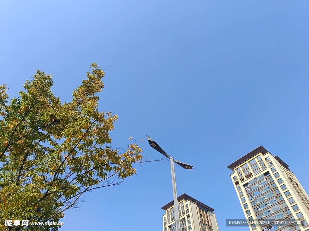 蓝天绿树旁的高楼景观