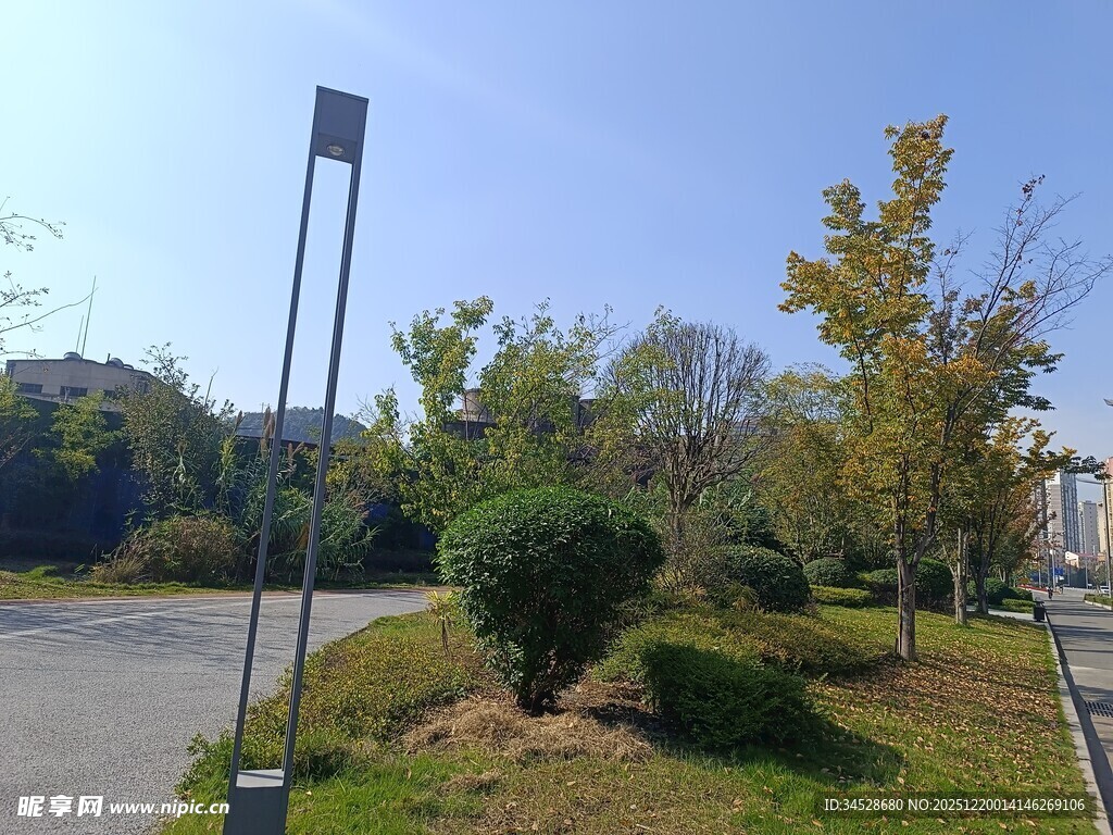 城市路边绿化景观