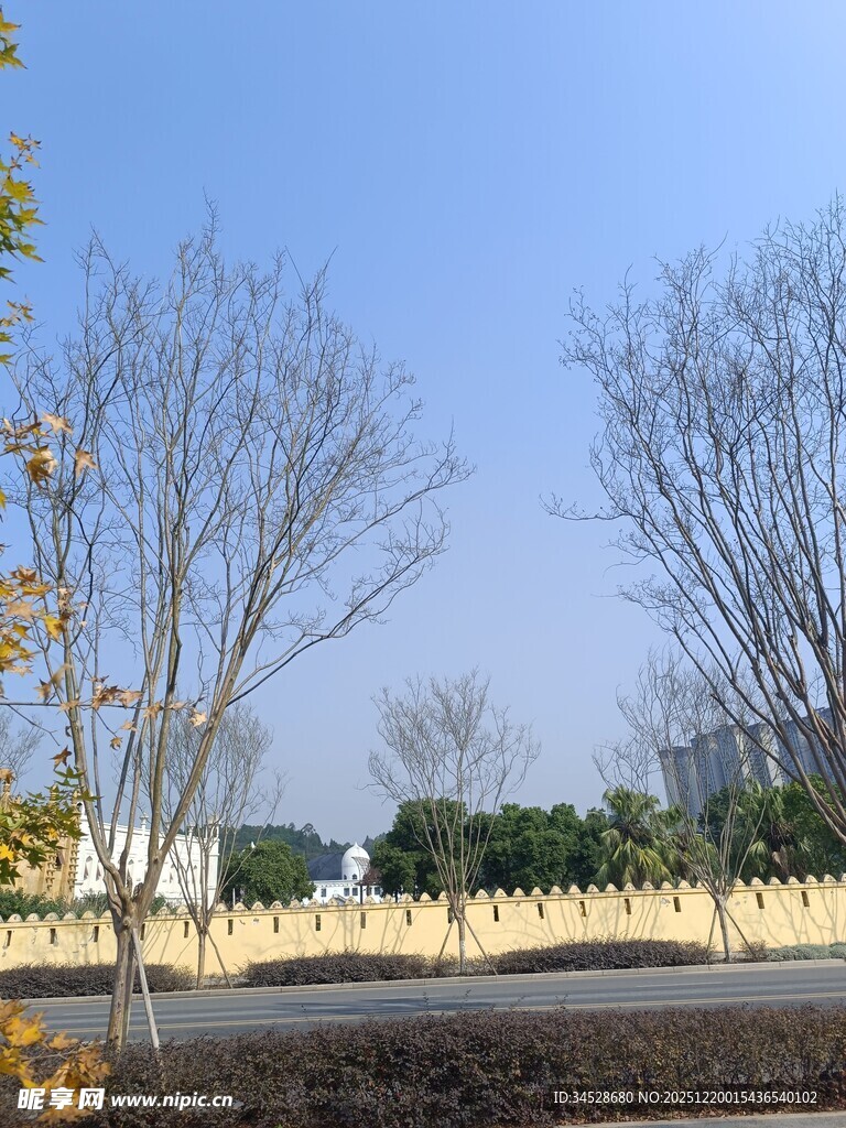 秋日城郊空旷景致