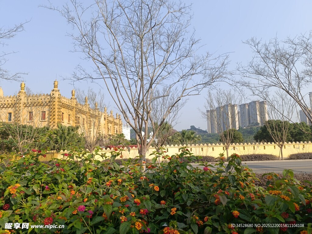 城市中繁花绿树的景致