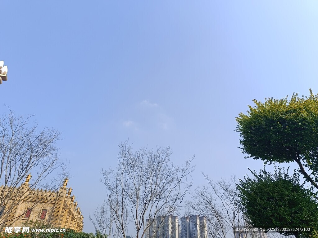 蓝天树木旁的建筑景观