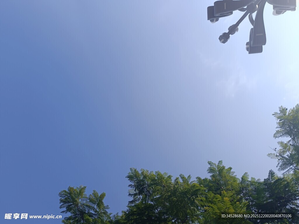 蓝天绿树间的路灯