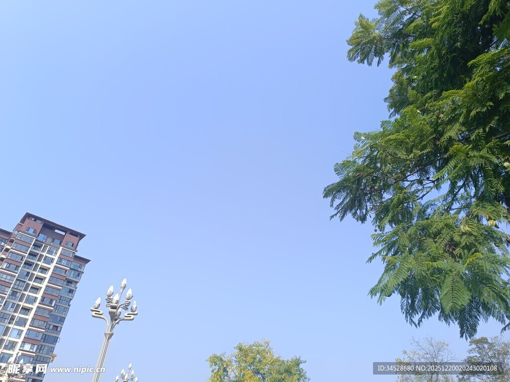 城市高楼与绿树蓝天