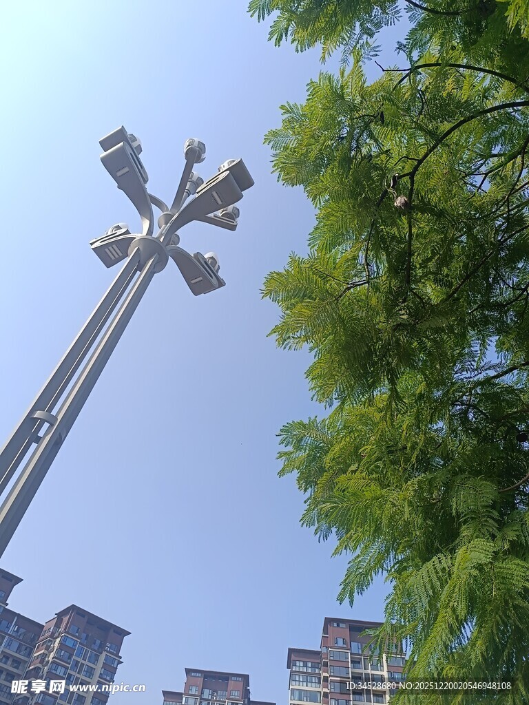 高耸灯杆旁的葱郁绿树