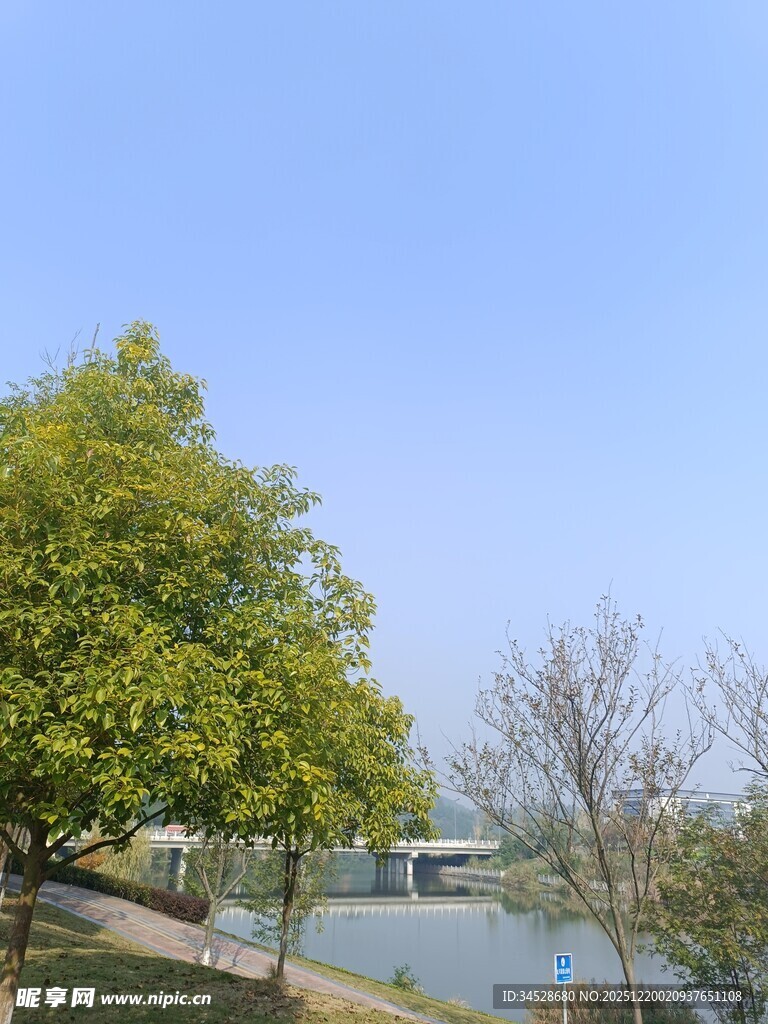 湖畔绿树蓝天风景如画