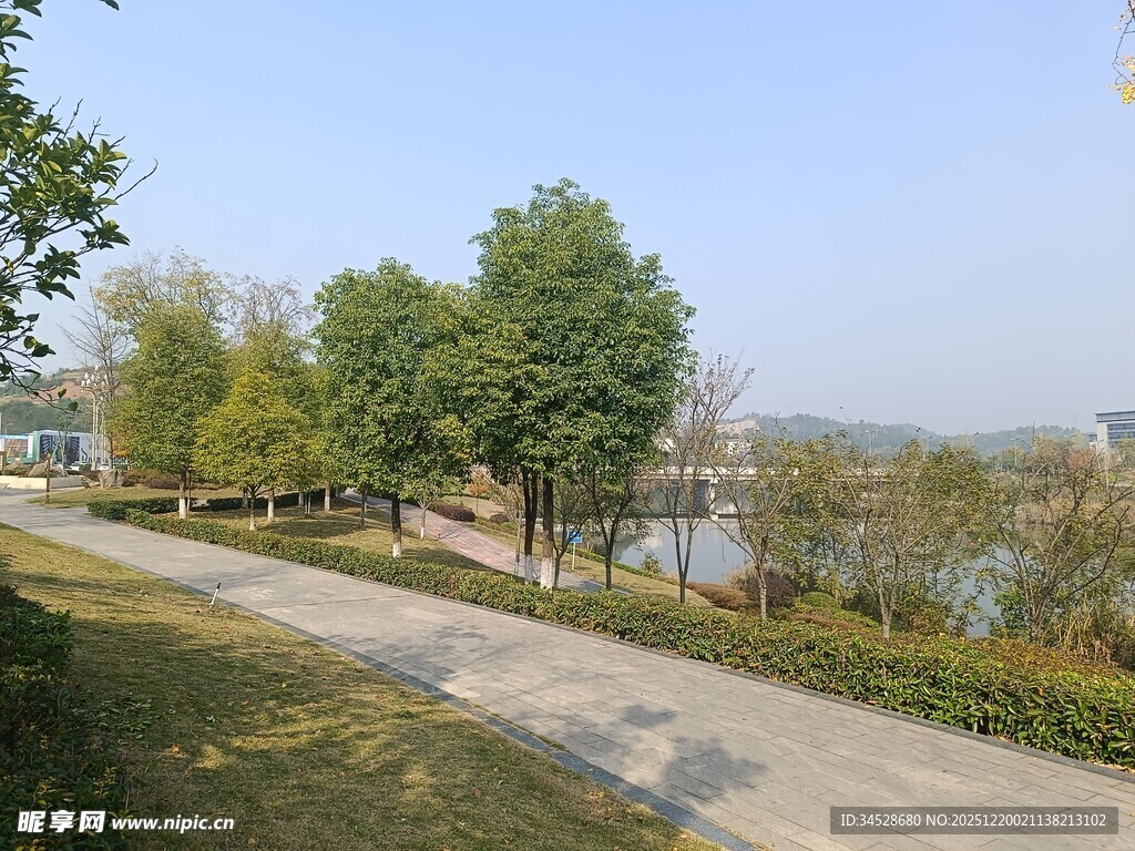 湖畔林荫小道风景秀丽