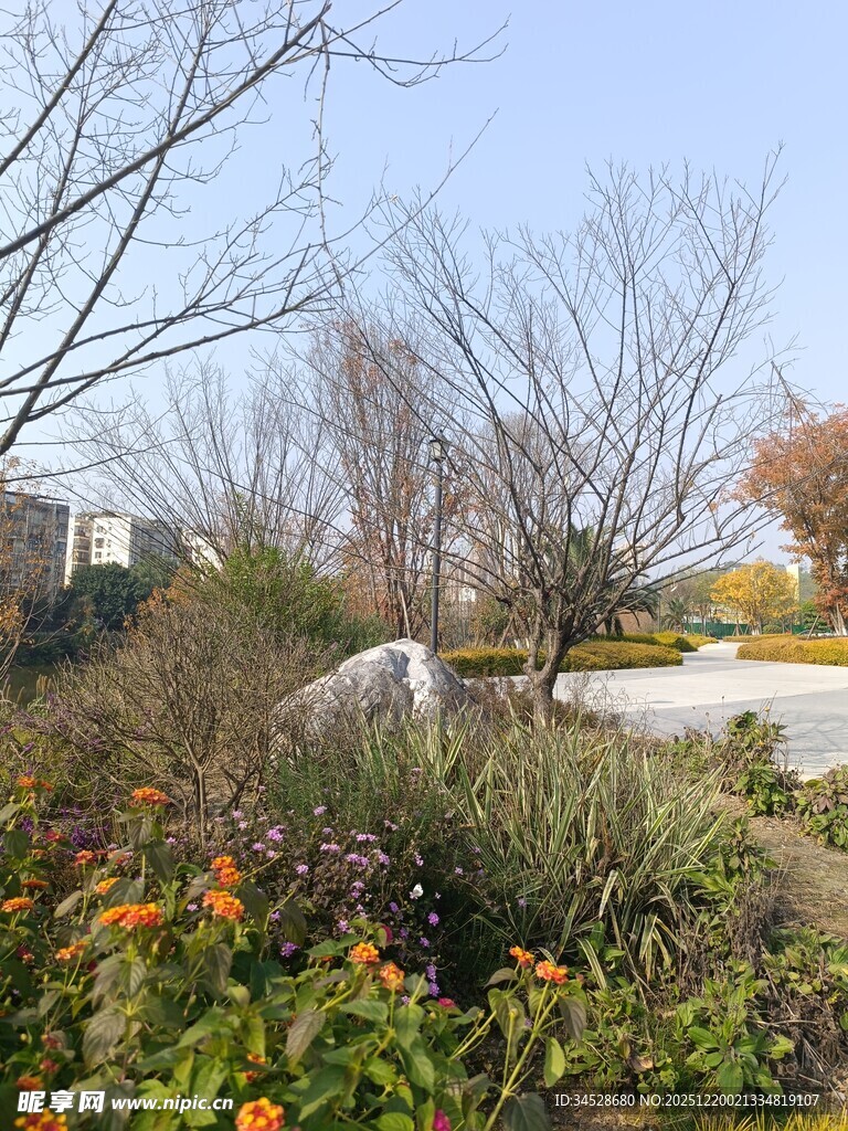 秋日户外多彩植物景观