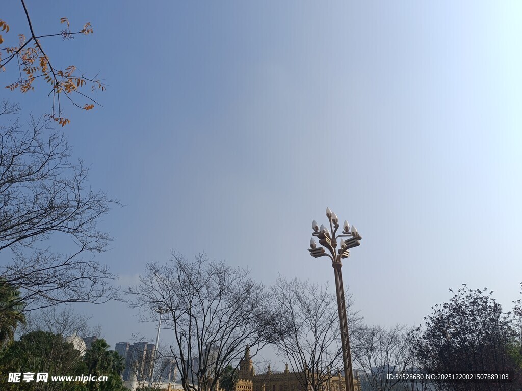 户外路灯与树木蓝天景象