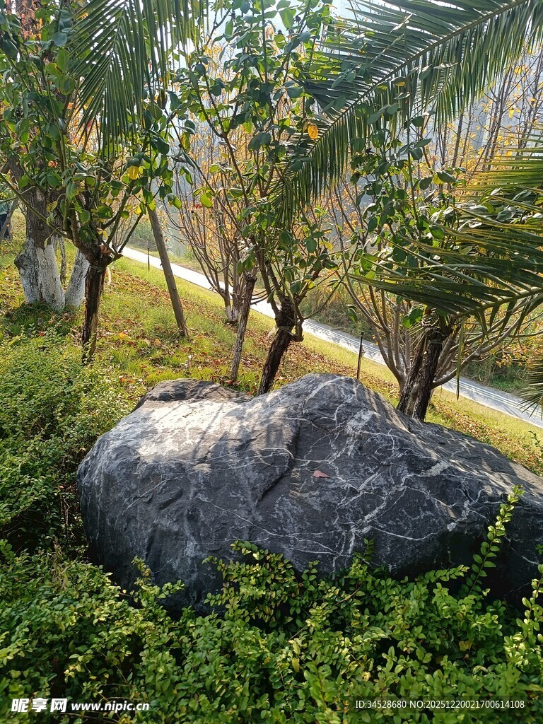 园林景观中的巨石与绿植