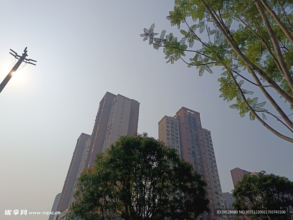 城市高楼与绿树相映成趣