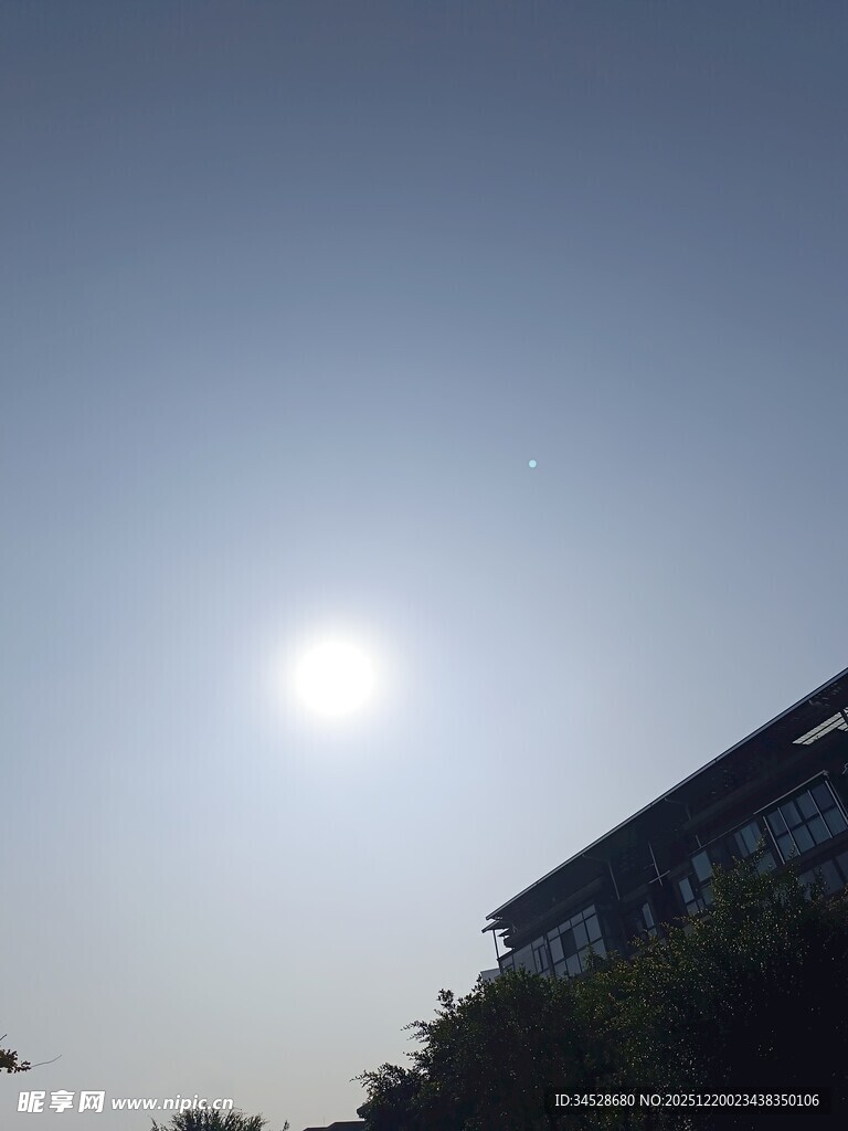 阳光下的建筑与绿植