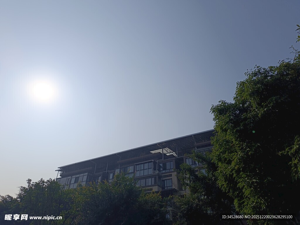 阳光下的建筑与绿树