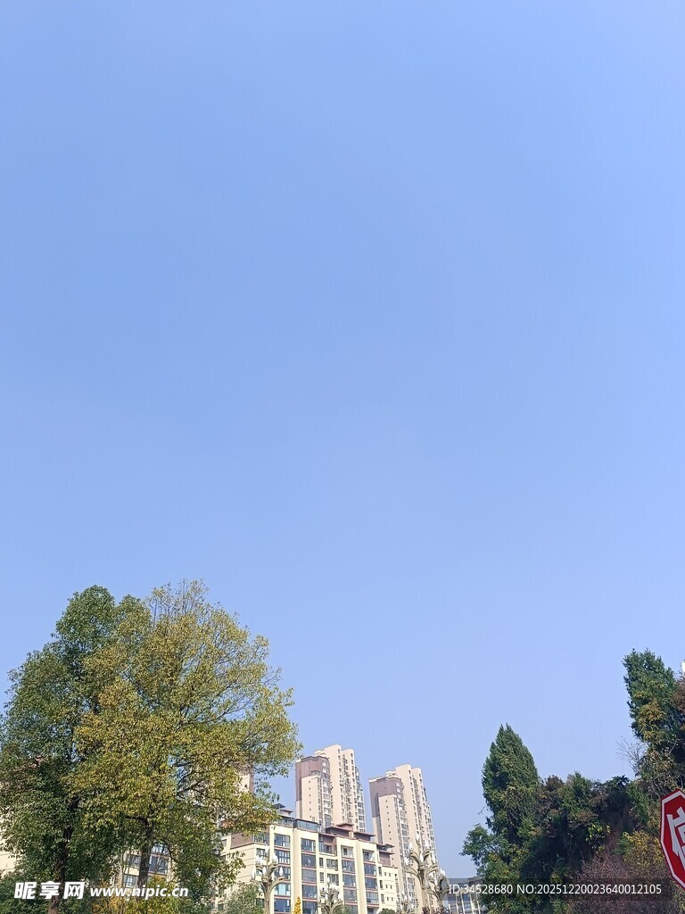 蓝天绿树间的建筑景观