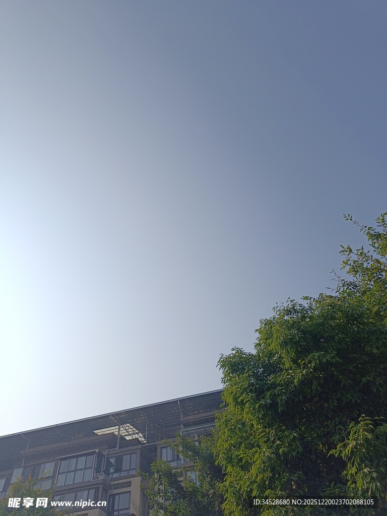 晴朗天空下的绿植与建筑