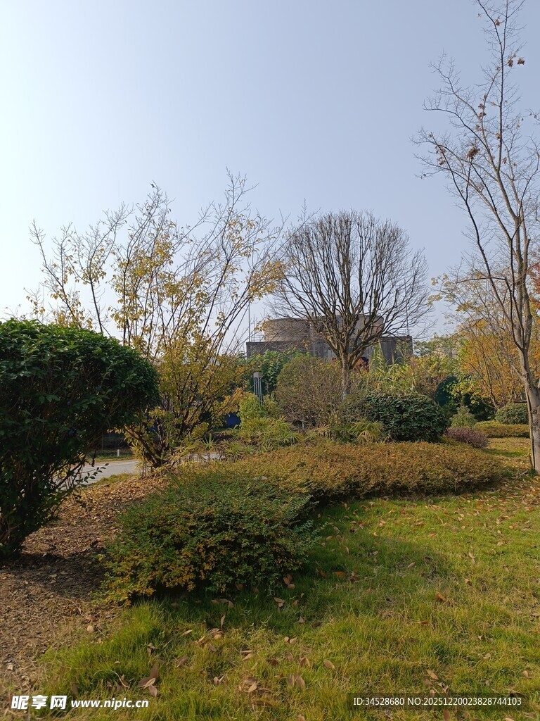 户外园林景观景色