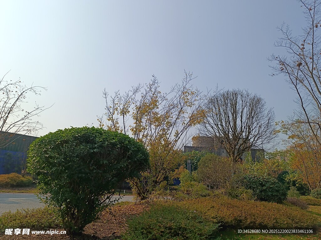 户外秋日园林景观