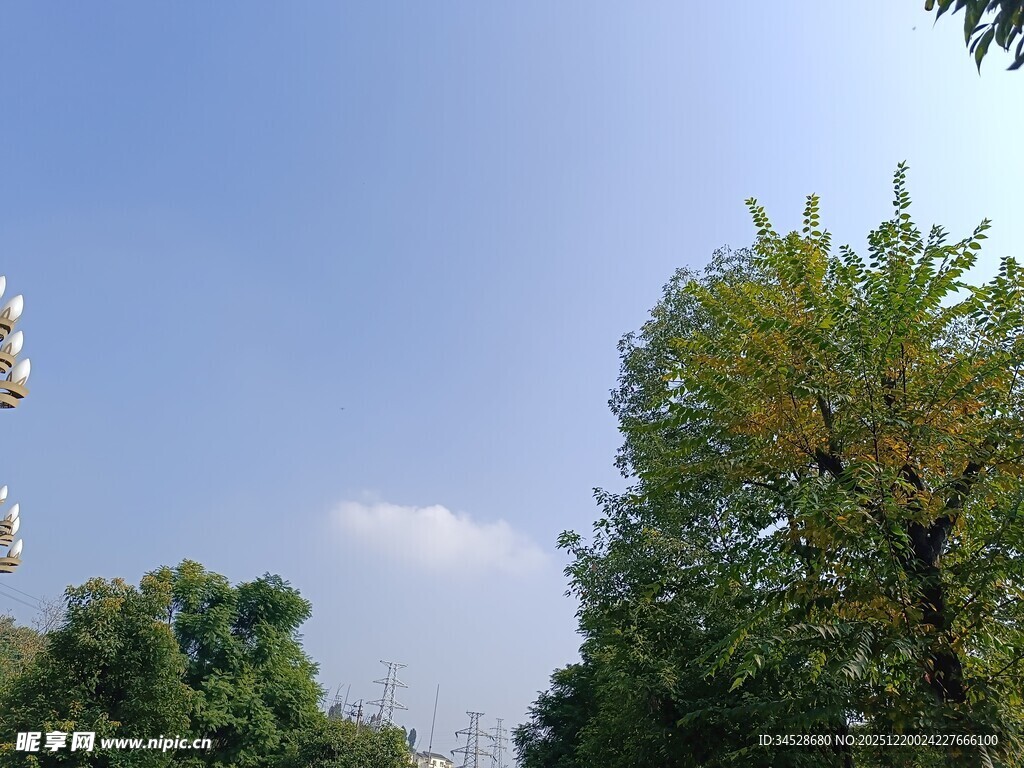 晴朗天空下的绿树与建筑