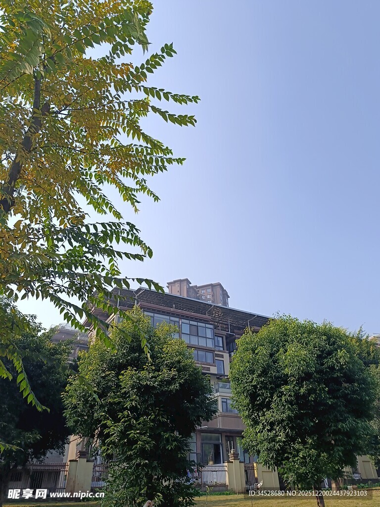 绿树环绕的多层建筑