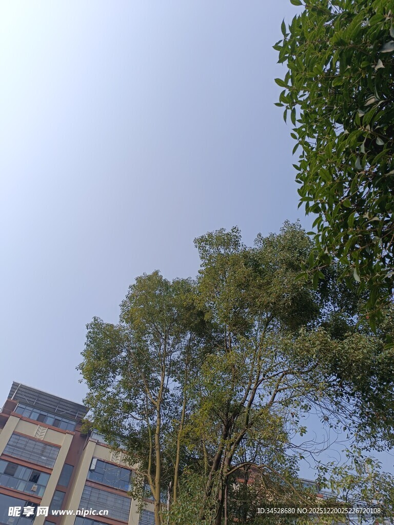 蓝天绿树旁的建筑