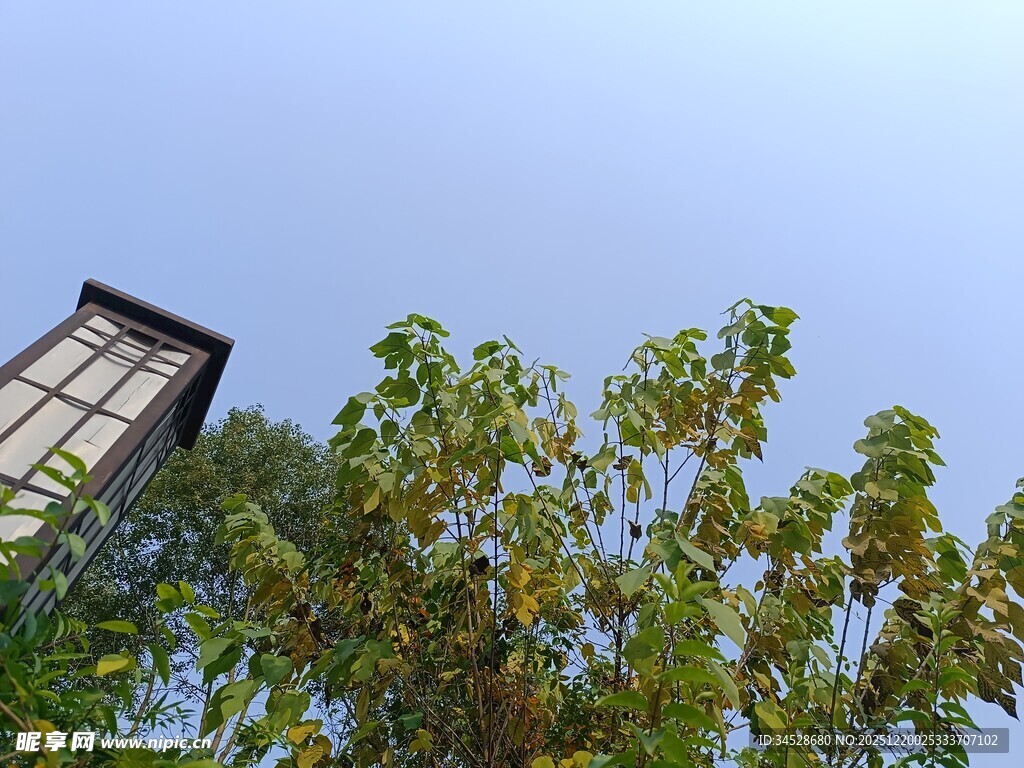 蓝天绿树间的古朴建筑