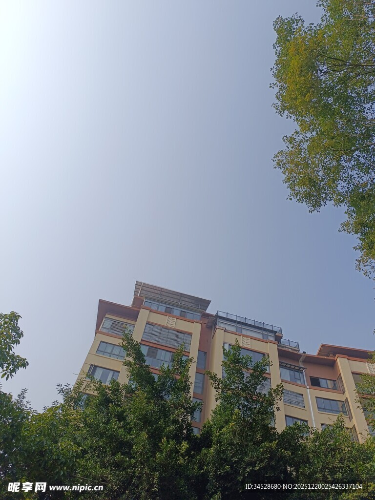 绿树环绕的多层建筑