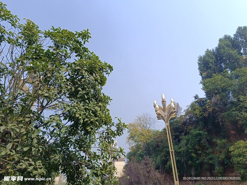 绿树蓝天间的户外景致