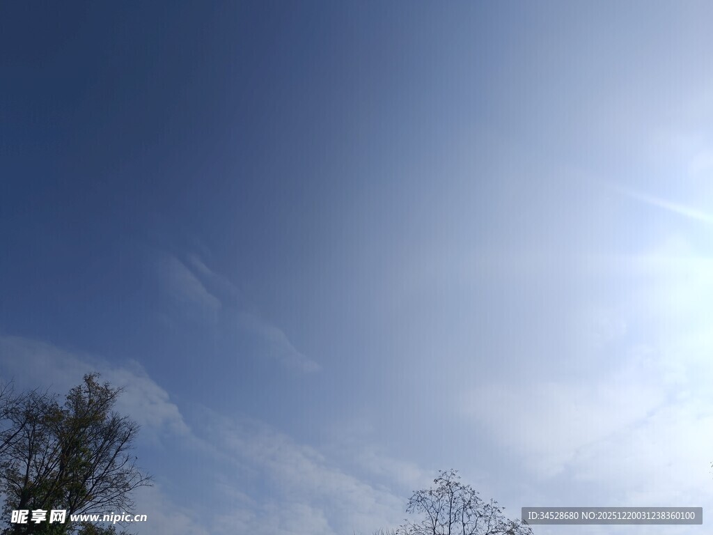晴朗蓝天与稀疏树木