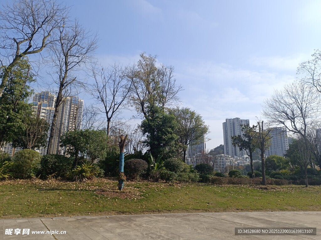 城市公园的开阔景致