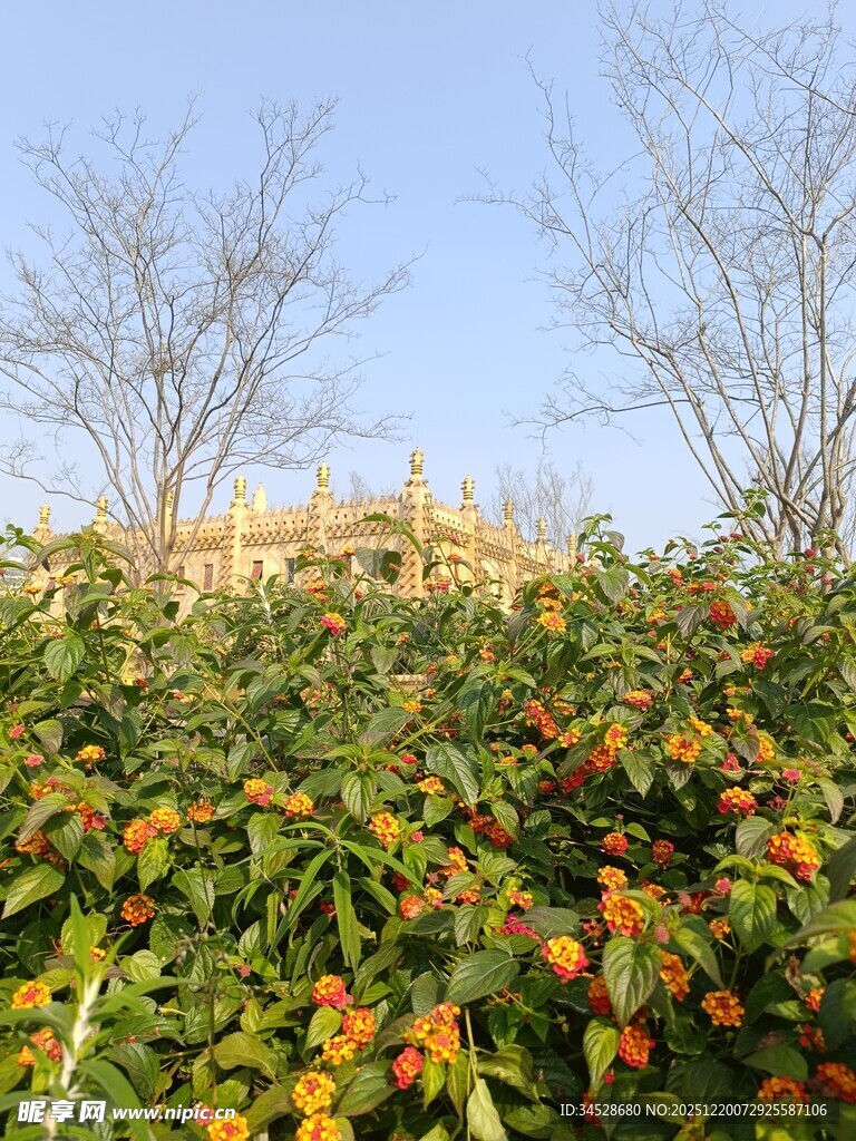 秋日花丛与远景建筑