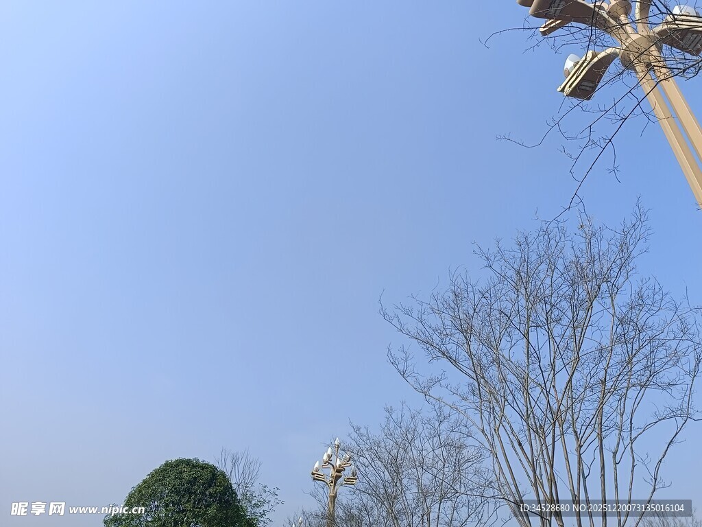 户外游乐设施与树木景观