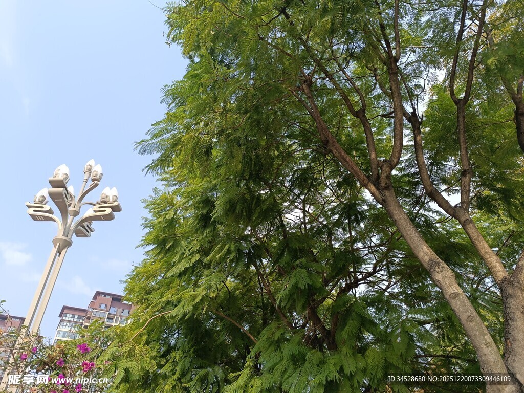 绿树旁的特色路灯景观