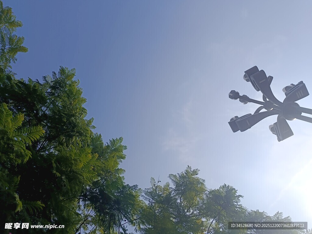 蓝天绿树间的独特风车