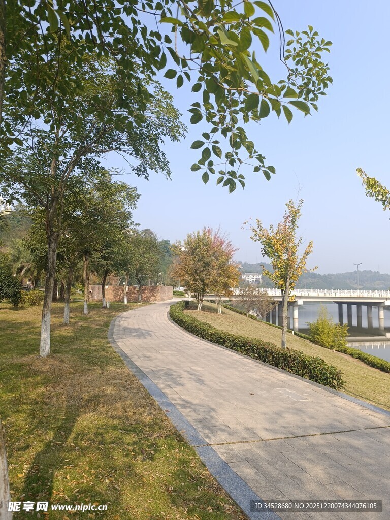 湖畔林荫小道风景