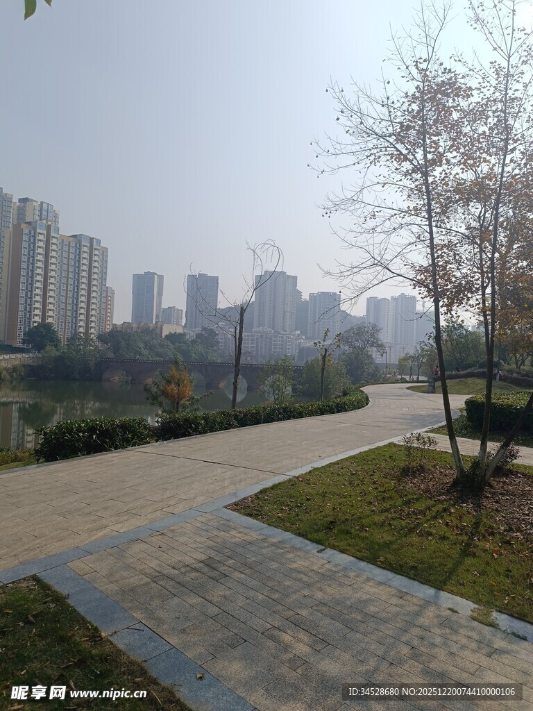 城市公园中的宁静步道