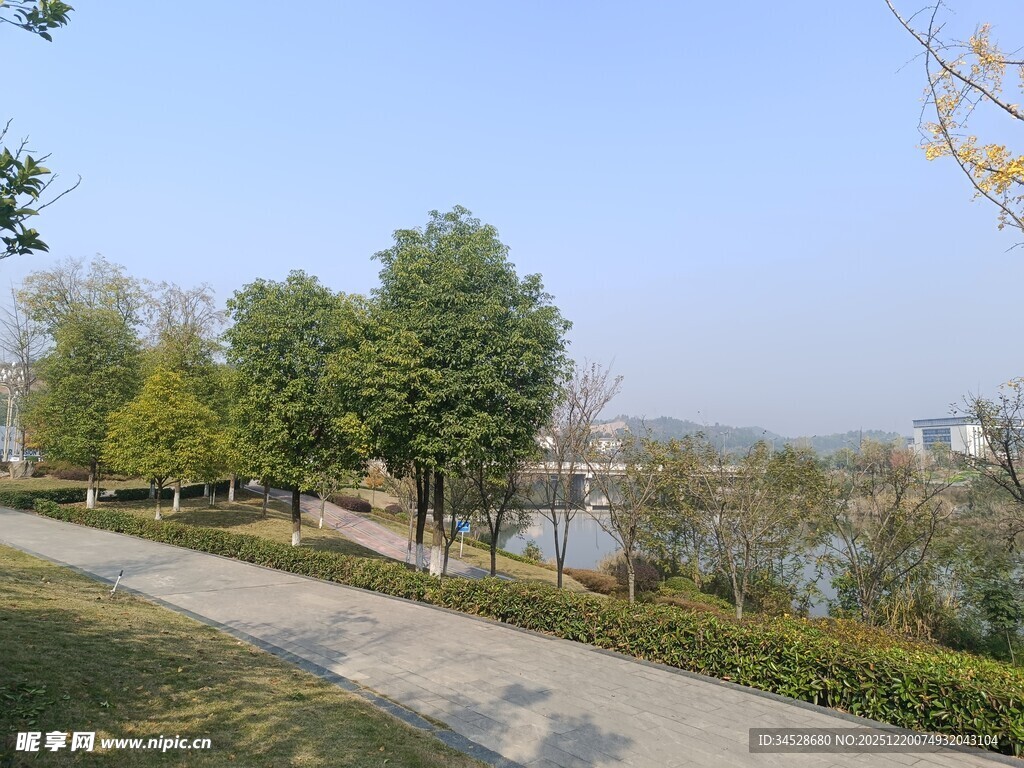 湖畔林荫小道风景