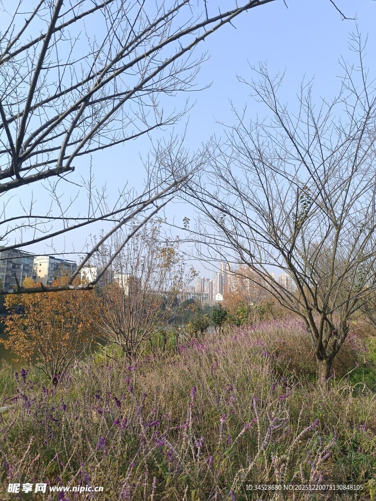 郊外荒野风景