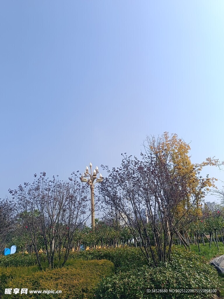 户外秋日园林景观