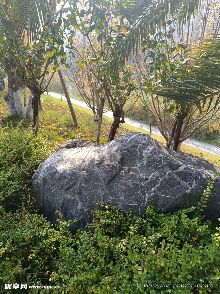园林中巨石与绿植景观