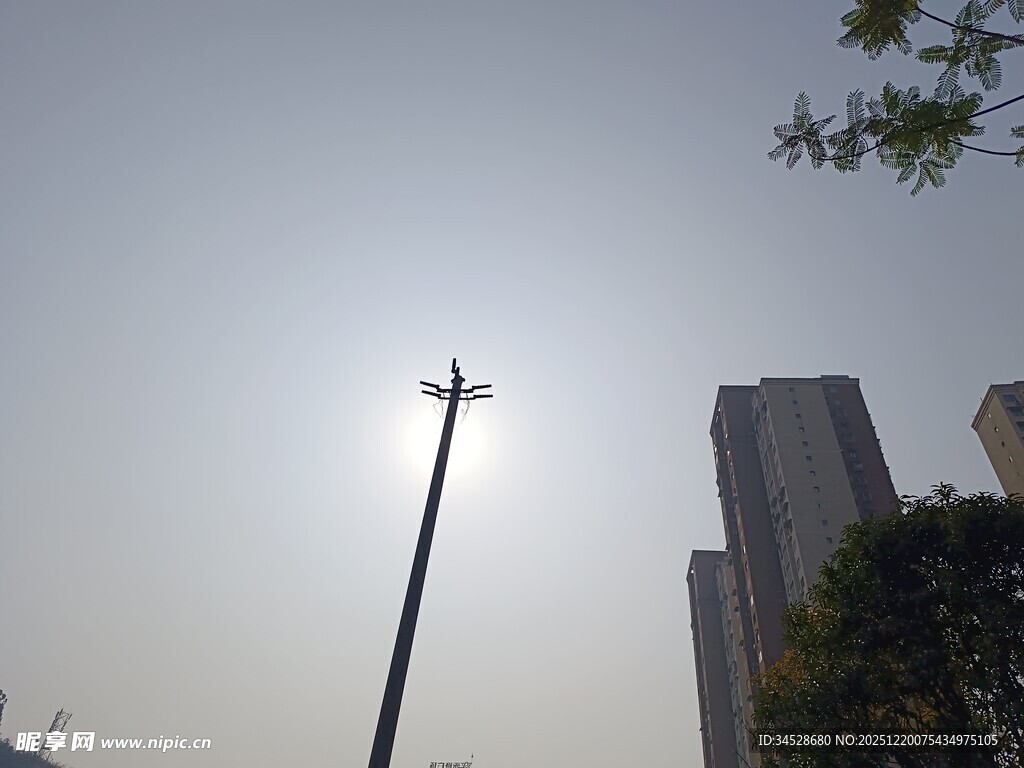 城市中阳光下的路灯与高楼