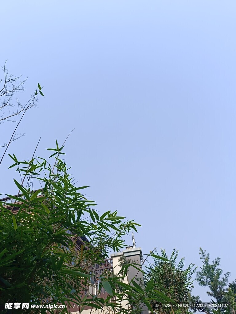 蓝天绿树间的建筑一角