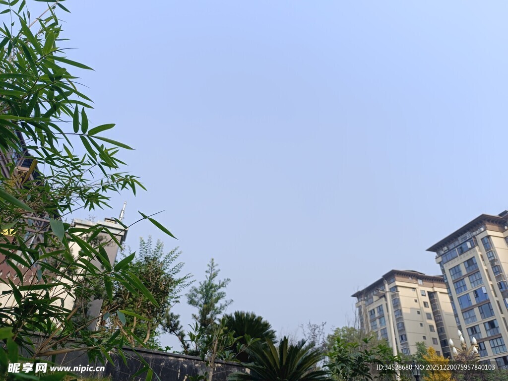 小区周边绿植与楼房景观