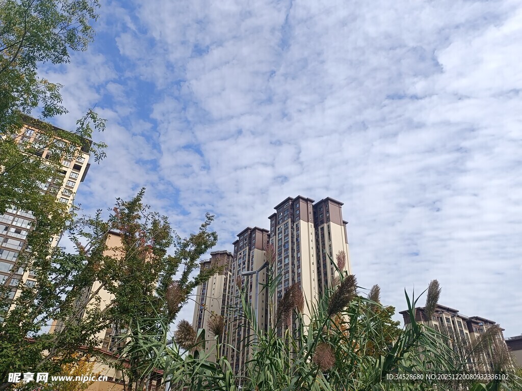 古老建筑与繁茂绿植相映